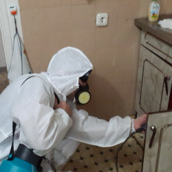Дезинфекция от муравьев в квартире в Вуктыле